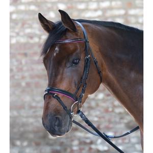 Star Diamant Trense 